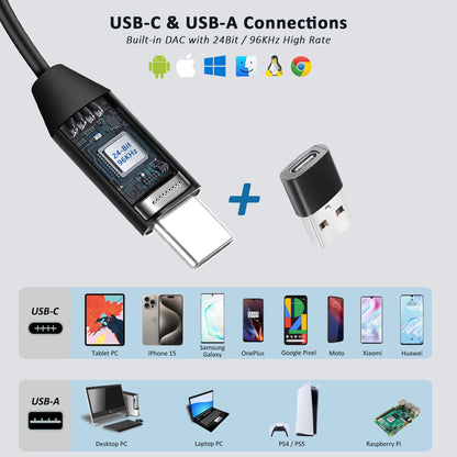 USB-C / USB-A Earbuds with Detachable Boom Mic